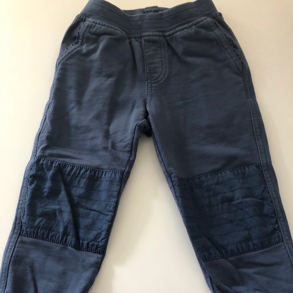 Tea Collection Pants